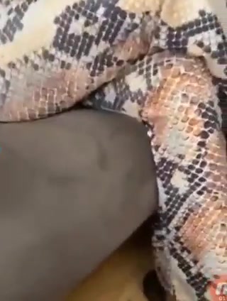 سكس عربي. انطونيو سليمان ينيج جارته بحجه اكو صوت وضجيج نيج خليجي